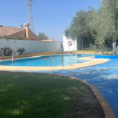 Apartamento A 8Km Sevilla Centro Valencina de la Concepción Εξωτερικό φωτογραφία